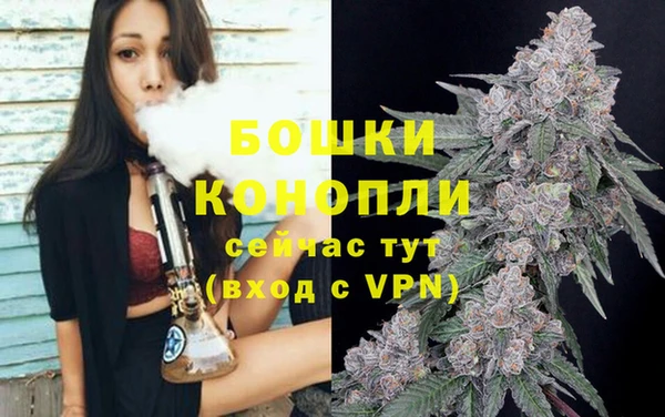 Альфа ПВП Горно-Алтайск