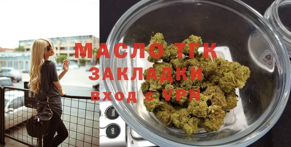 ешки Горняк