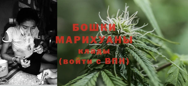 ешки Горняк